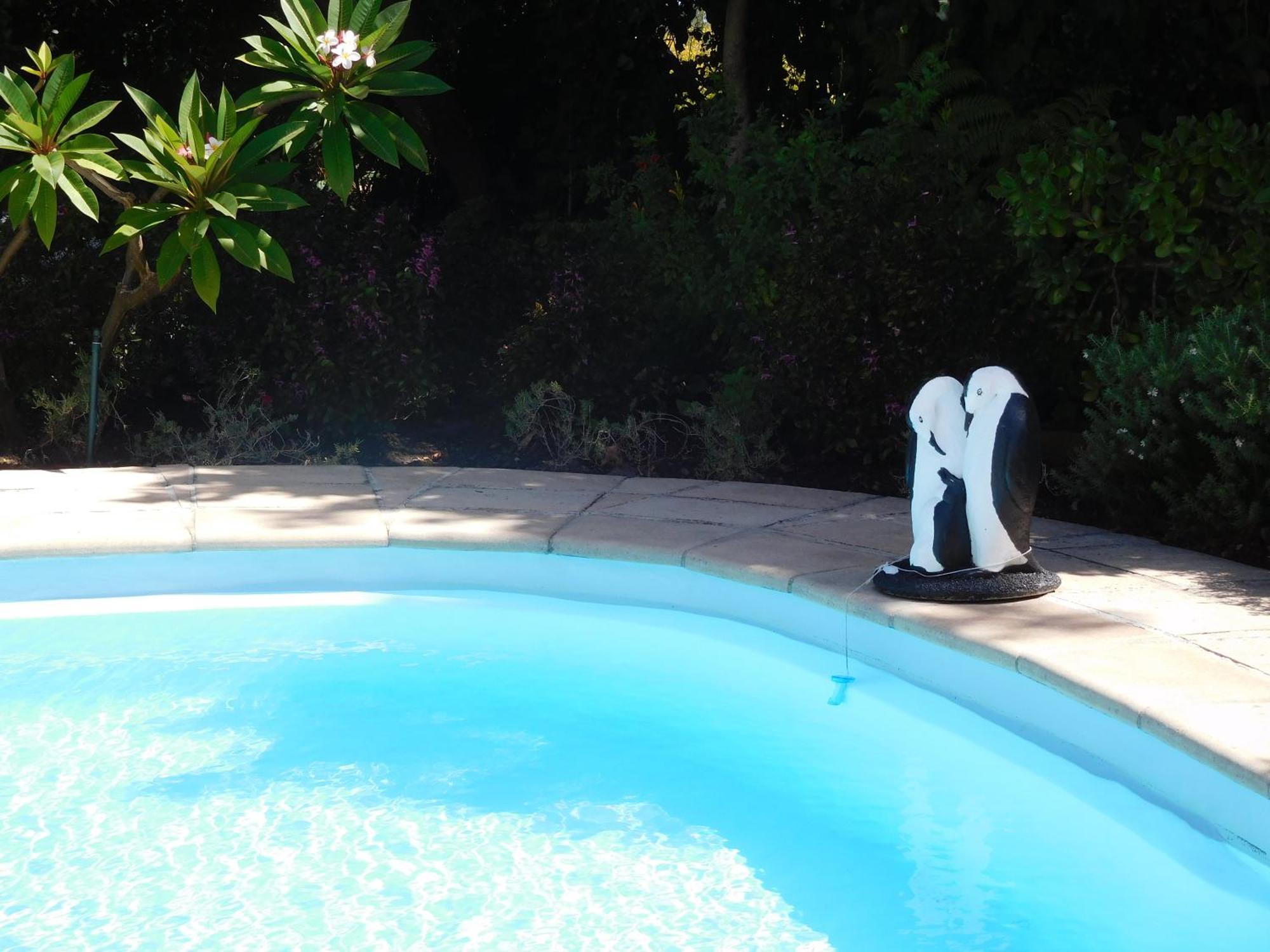 Garden- Pool Flat With Solar Electricity 서머싯웨스트 외부 사진